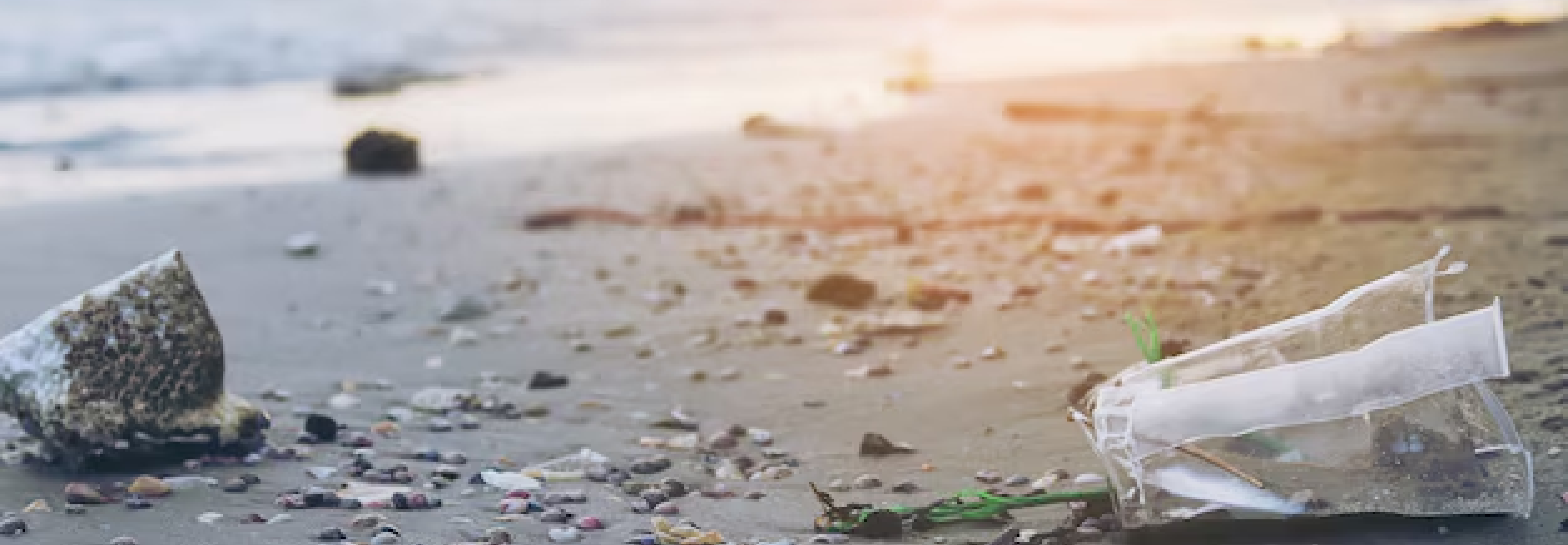 Reducing Plastic Pollution