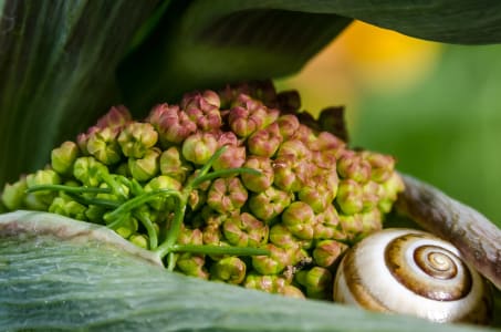 Napoleon_hill_5_jhn1hh