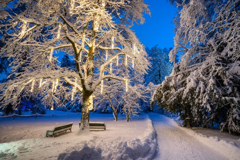 Magia invernale delle luci nel giardino Hofgarten di Innsbruck