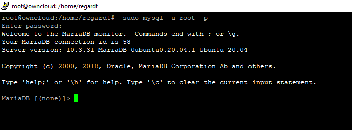 Sign in to MariaDB Terminal