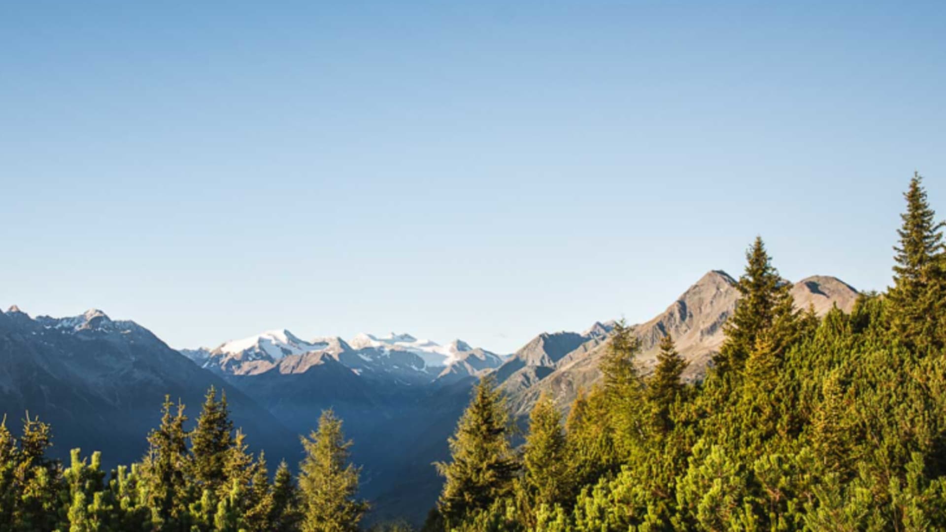 Klettersteig-Landschaft Stubai: Latschenkiefern und Nadelbäume im Vordergrund, Gipfel mit Eis- und Schneefeld dahinter.