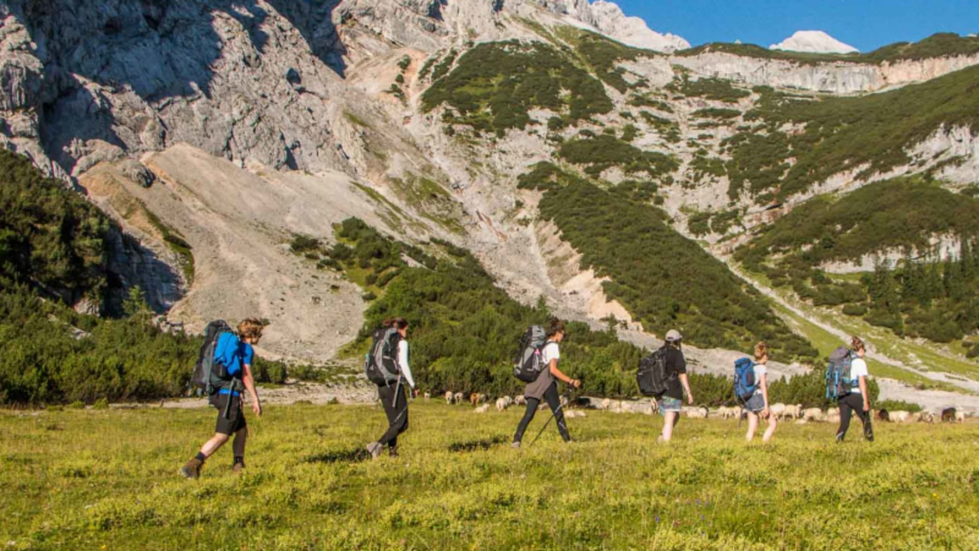 Bergwanderung Zugspitze: Sechs Bergwanderer mit Rucksäcken queren eine Almwiese im Reintal, Schafherde und Felsgipfel