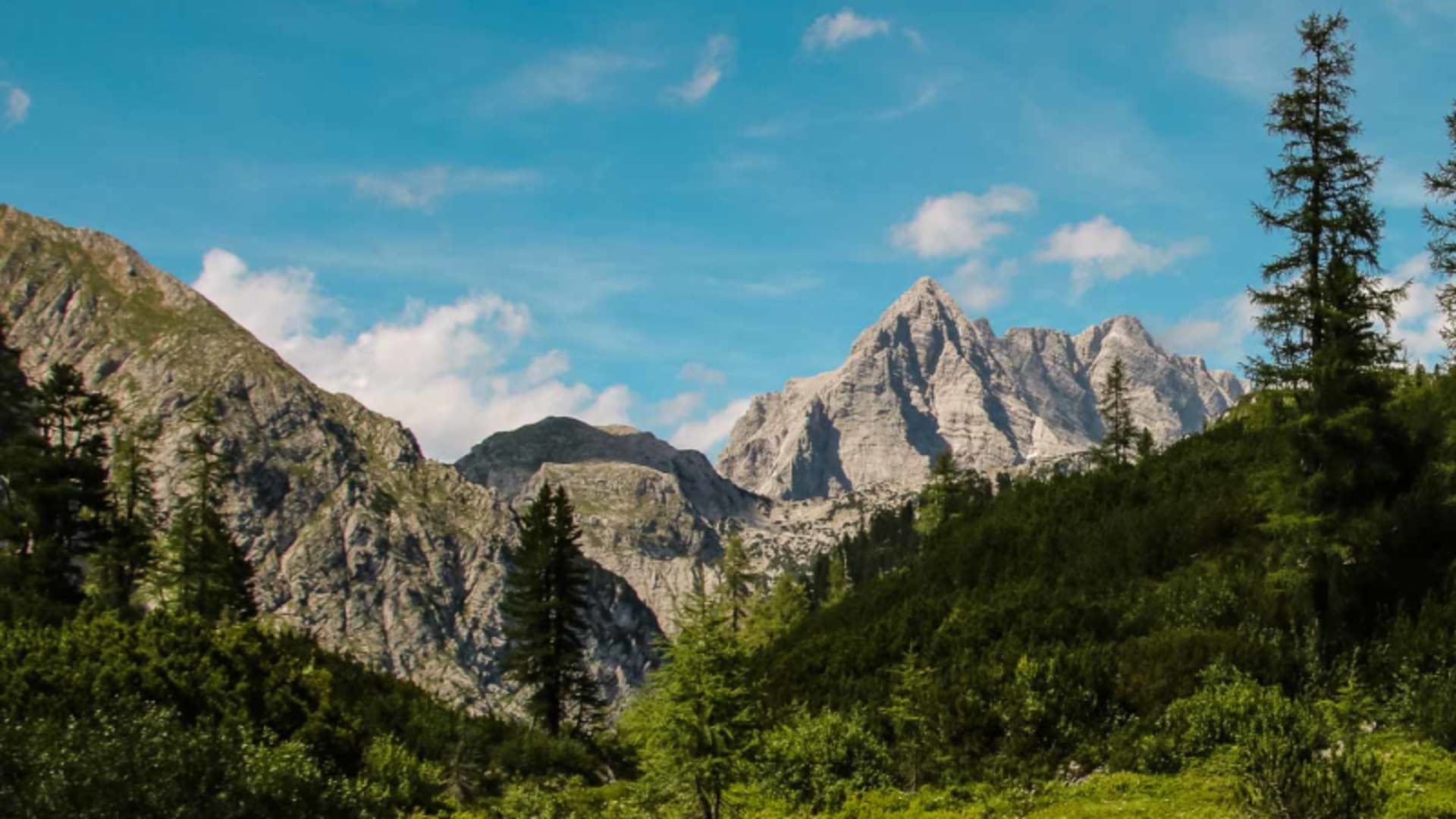 Bergwanderung zur Watzmann Südspitze: Blick auf den markanten Kalkfelsturm über grüner Almwiese im Sommer.