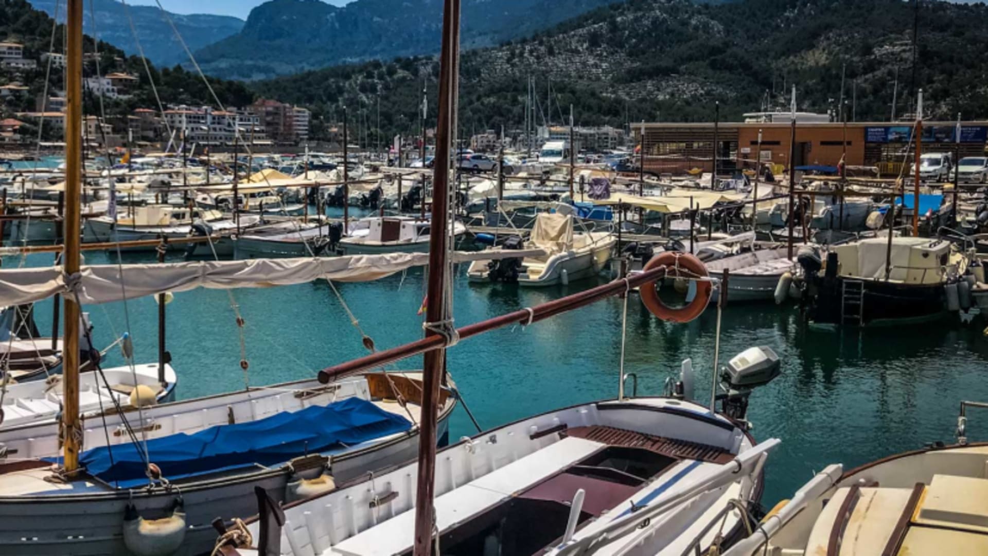 Blick auf den Yachthafen von Mallorca mit festgemachten Segelbooten und felsigen Bergen im Hintergrund.