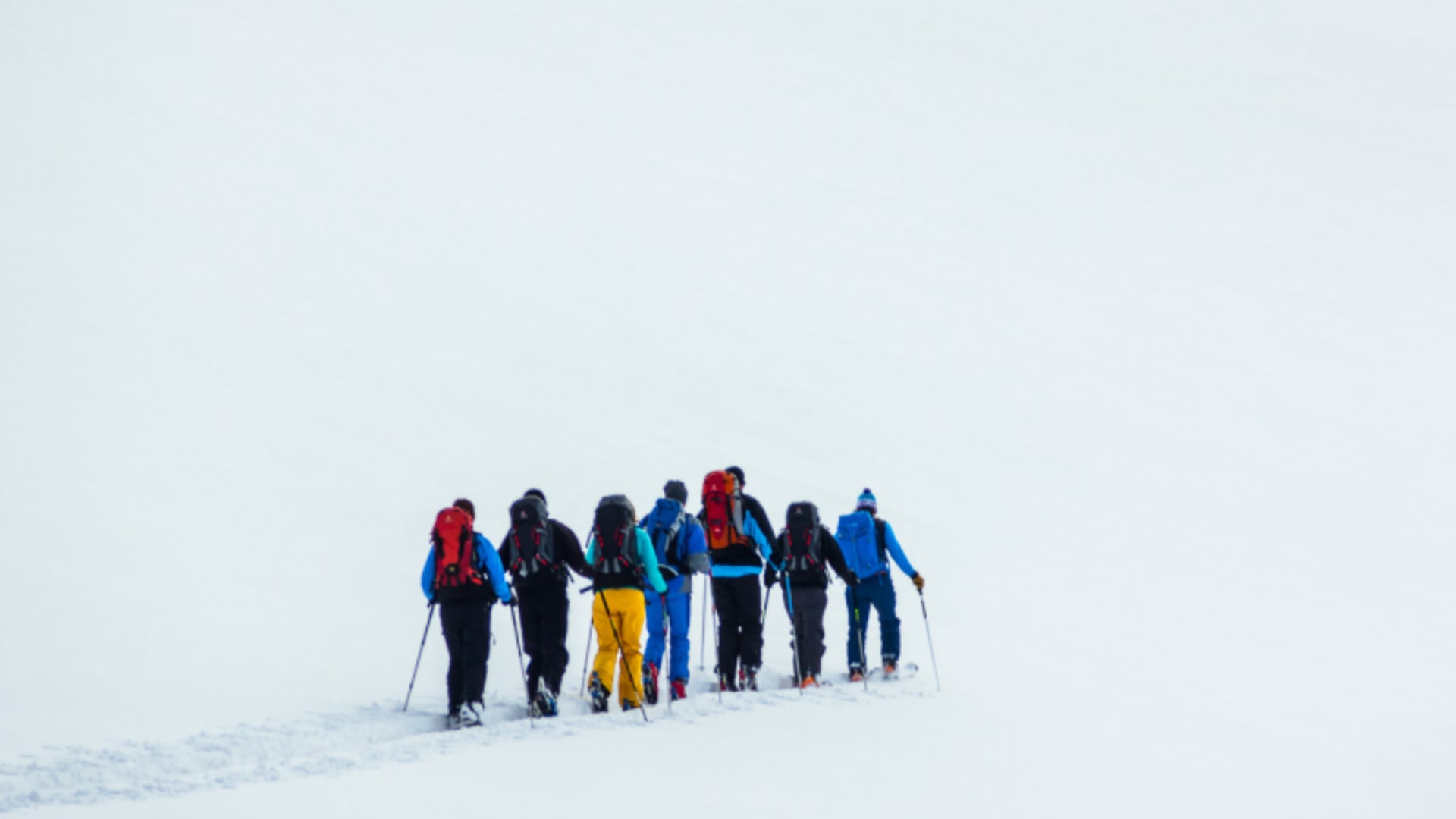 Sieben Skitourengeher steigen mit Fellen auf einem breiten Schneehang in der Silvretta auf.