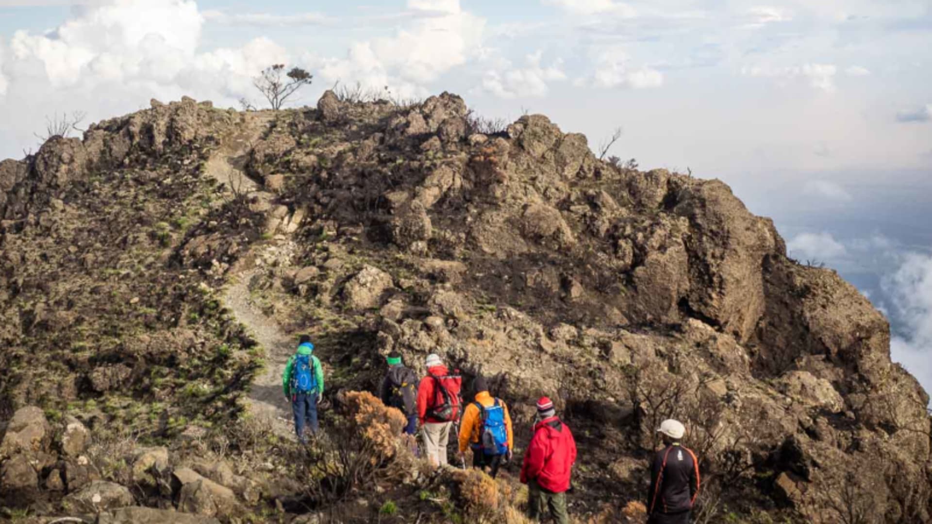 Fünf Personen beim Trekking auf dem Kilimandscharo steigen einen felsigen Berggrat auf, unter ihnen liegt ein dichtes Wolkenmeer.