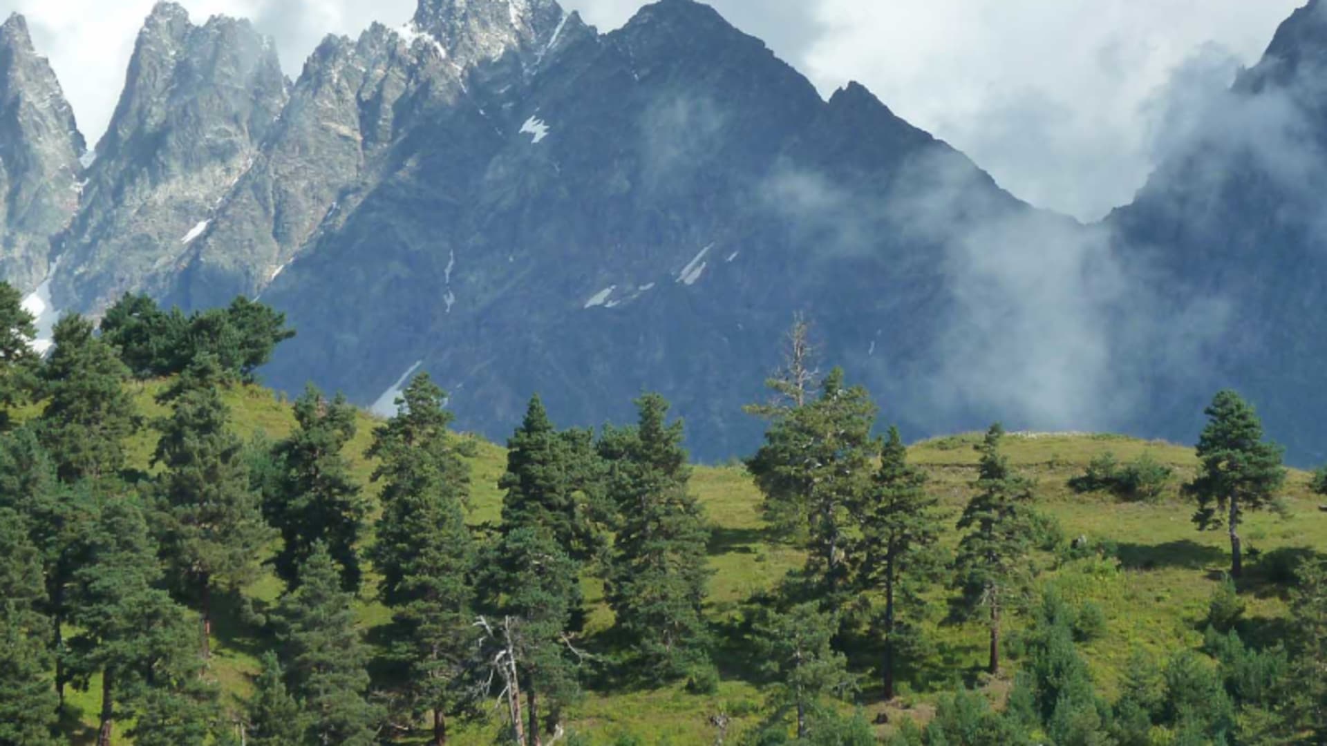 Trekking zu den Koruldiseen in Swanetien: bewaldeter Hang mit Nadelwald und felsigen Gipfeln im Hintergrund.