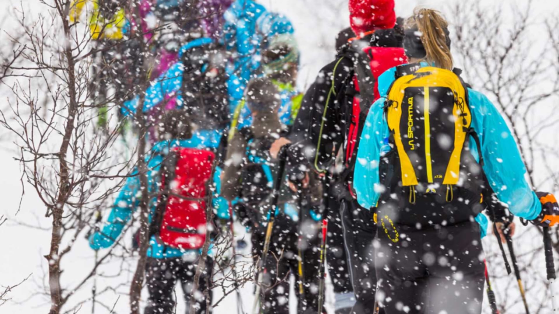 Winterwanderergruppe mit Skistöcken und Rucksäcken beim Aufstieg durch schneebedeckten Laubwald auf den Lofoten.