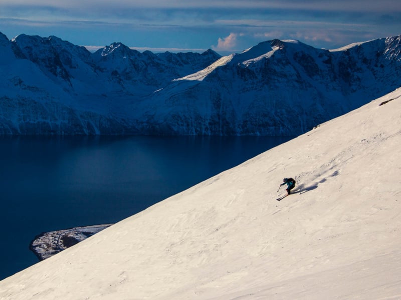 Skifahrer in blauer Jacke bei der Skitour in den Lyngen Alps fährt steilen Hang ab, im Hintergrund dunkelblauer Fjord