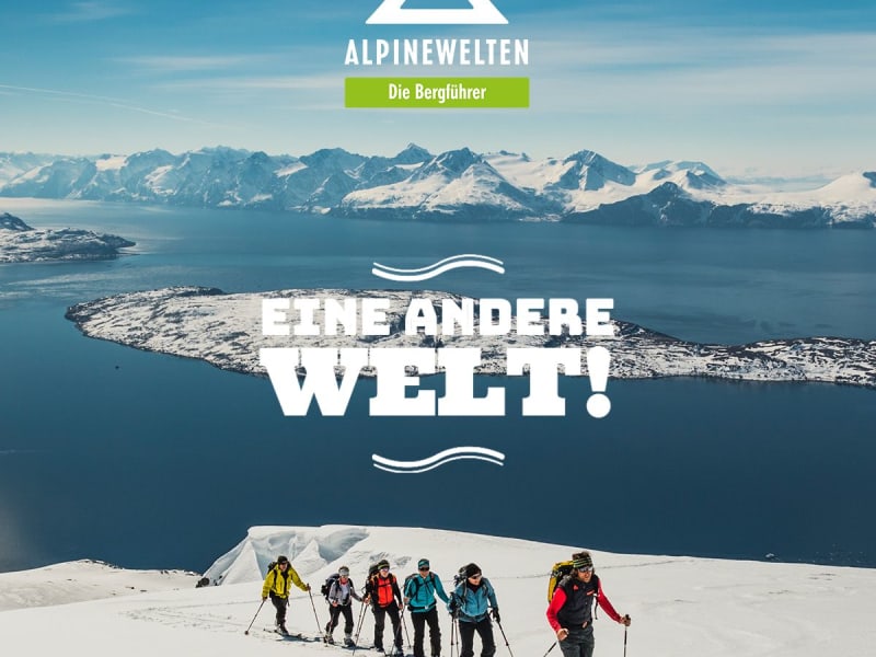 Schneeschuhtour in den Lyngenalpen: Sechs Personen steigen in Reihe einen sonnigen, verschneiten Hang mit Fjordblick auf.