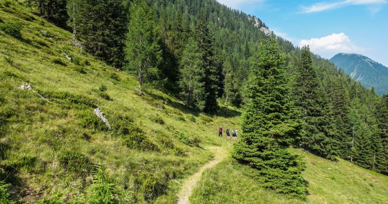 Drei Wanderer mit Rucksäcken auf dem Karnischen Höhenweg, im Hintergrund ein felsiger Berggipfel.
