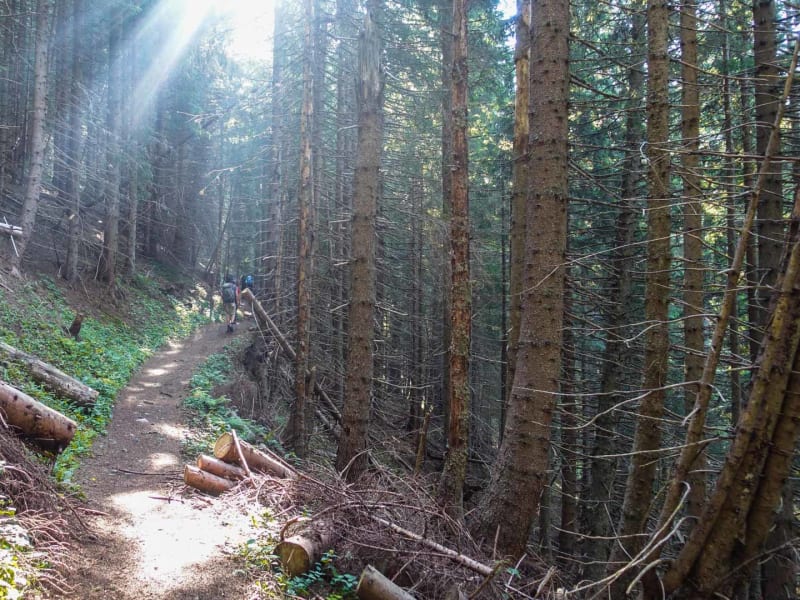 Bergwanderer mit Rucksack geht einen schmalen Waldweg im Aufstieg zum Feistritzsattel in Slowenien hinauf.