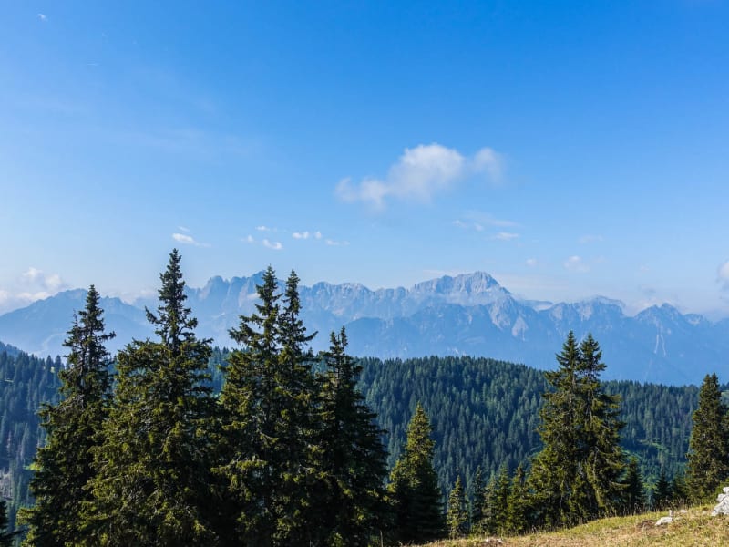 Bergwanderung in den Julischen Alpen: Panoramablick auf gezackte Kalkfelsgipfel über bewaldete Bergrücken an einem klaren Sommertag.