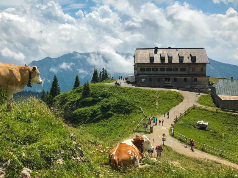 Galerie Foto