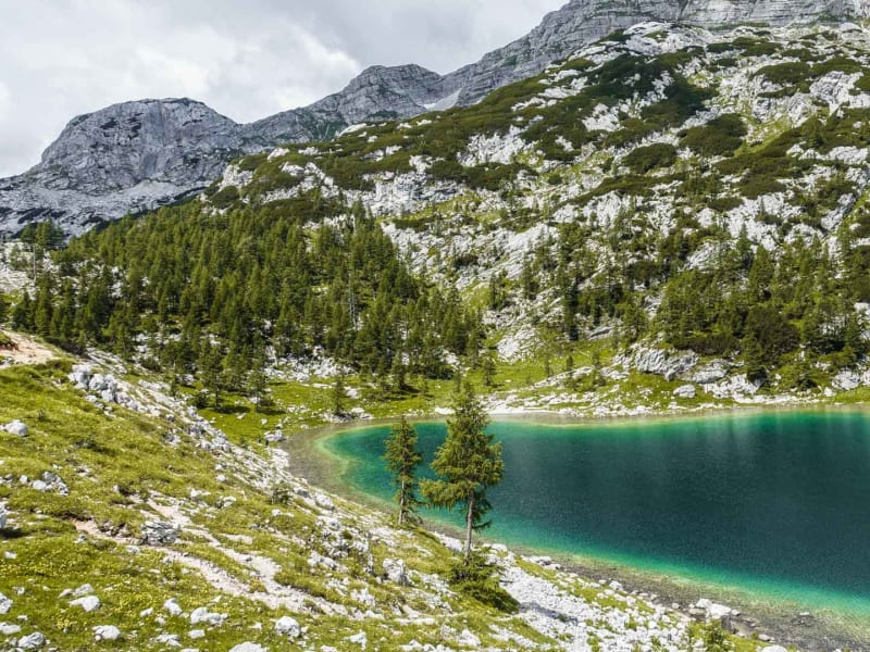 Galerie Foto