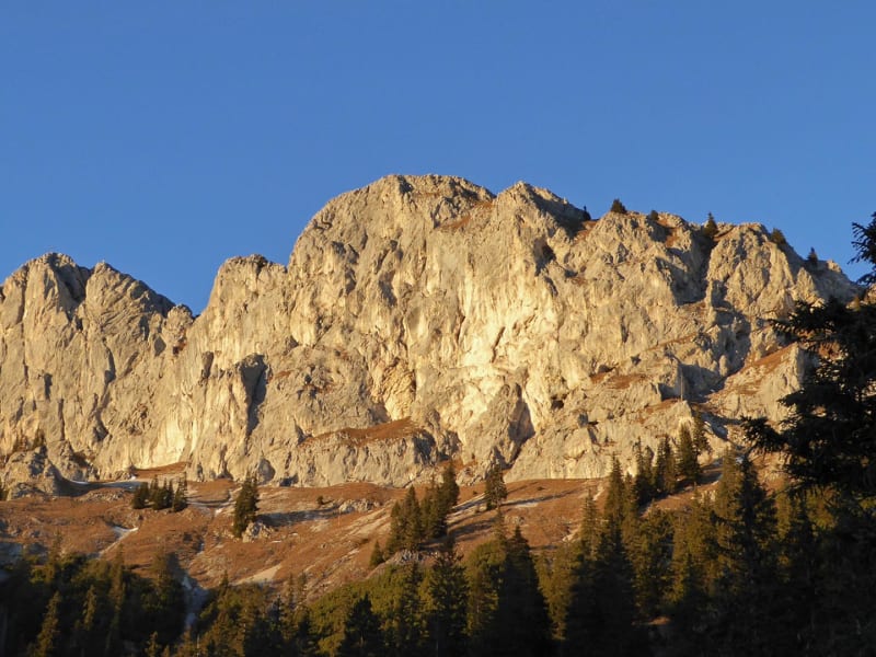Kalksteinwand zum Klettern am Gimpelhaus im Tannheimer Tal im Herbst mit Nadelwald und tiefblauem Himmel im Abendlicht.