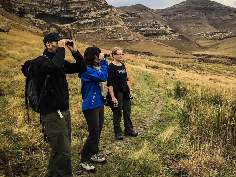 Trekking am Holkrans: zwei Trekker beobachten mit Fernglas die Tafelberg-Sandsteinformationen im Golden Gate Nationalpark.