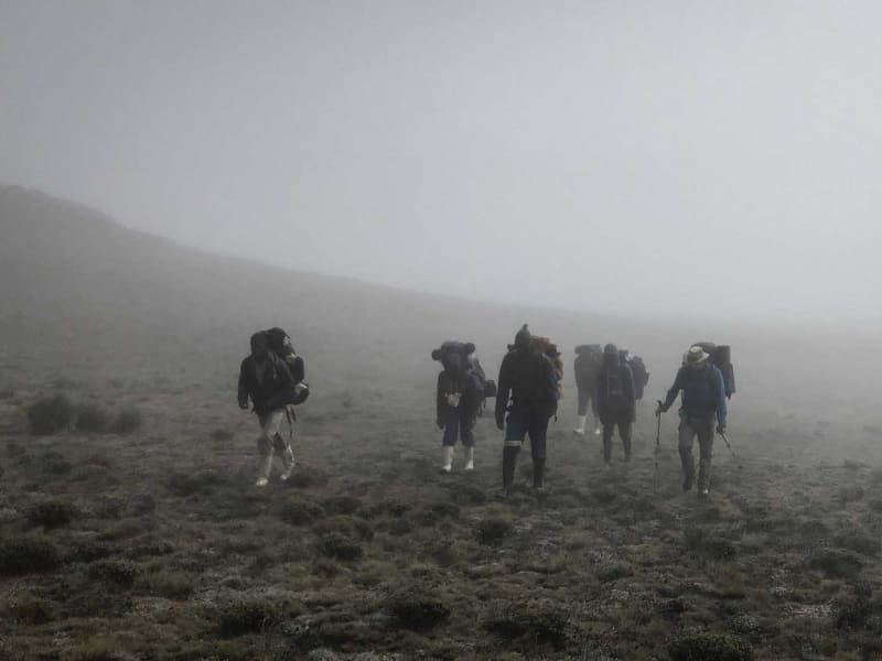 Trekking in den Drakensbergen: Gruppe von Trekkern mit Rucksäcken wandert in dichten Nebel auf subalpinem Hochplateau-Hang.