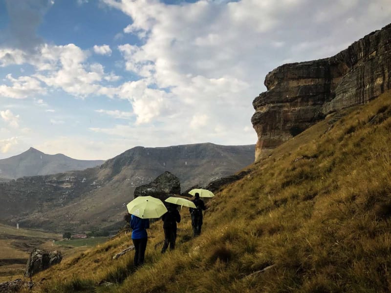 Trekking am Holkrans im Golden Gate Nationalpark: drei Trekker mit gelb-grünen Regenschirmen wandern im Regen
