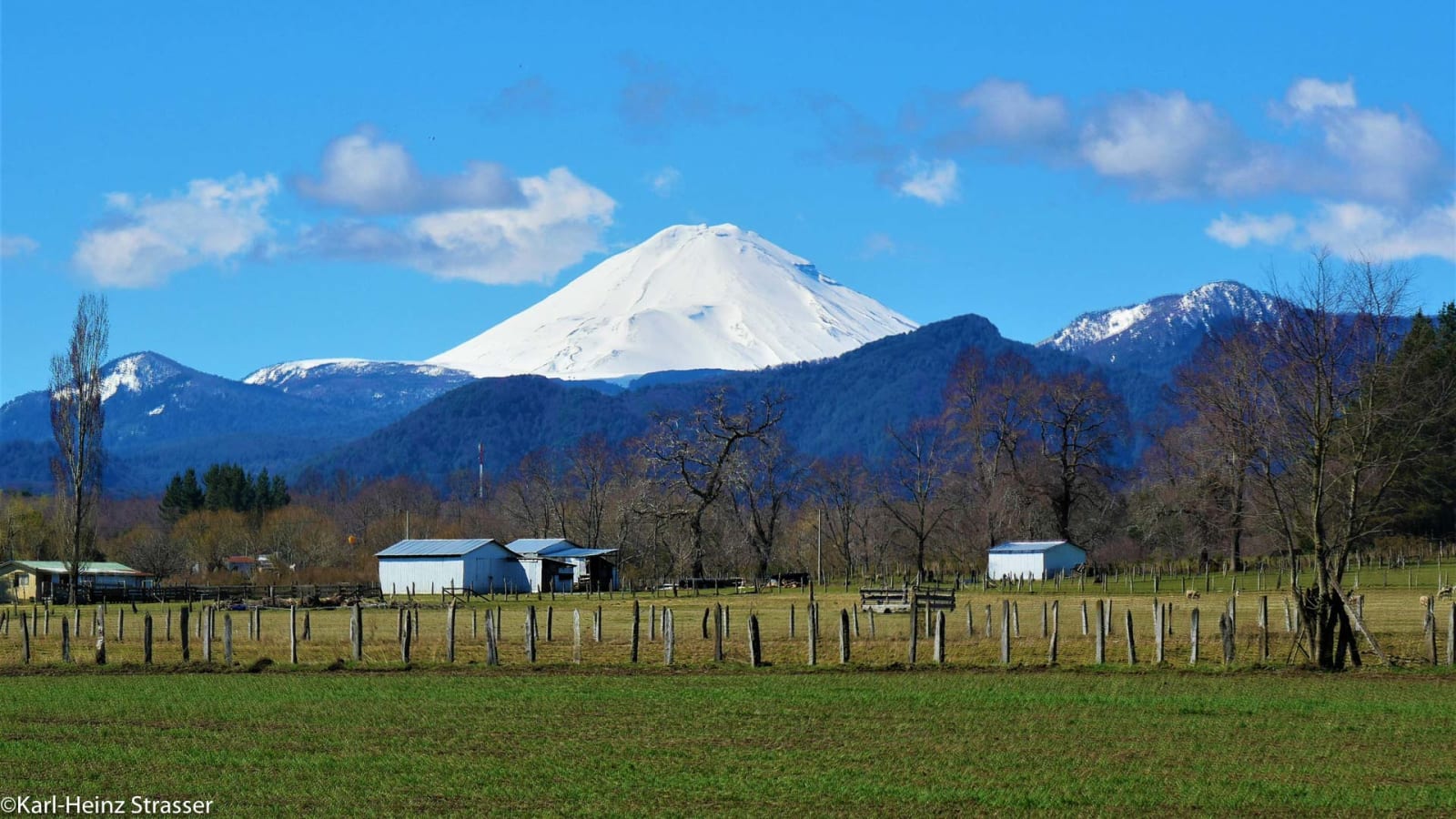 Bergtour zum Vulkan Lonquimay: schneebedeckter Vulkankegel über bewaldeten Hängen und Weideland.