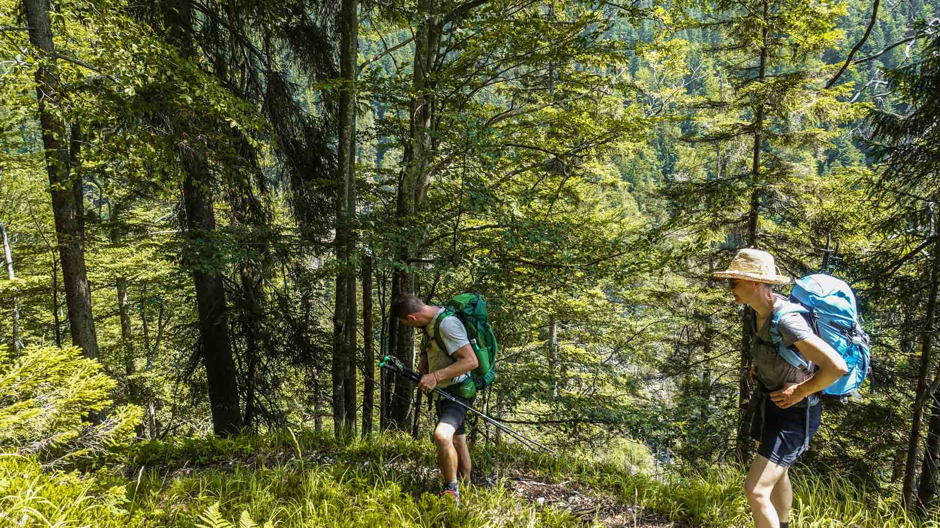 Zwei Bergwanderer steigen auf schmalem Waldpfad ins Bartolo Tal ab, mit Rucksäcken und Wanderstöcken.