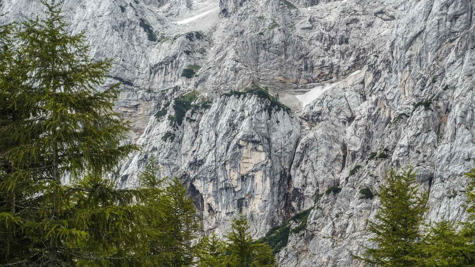 Galerie Foto Großansicht