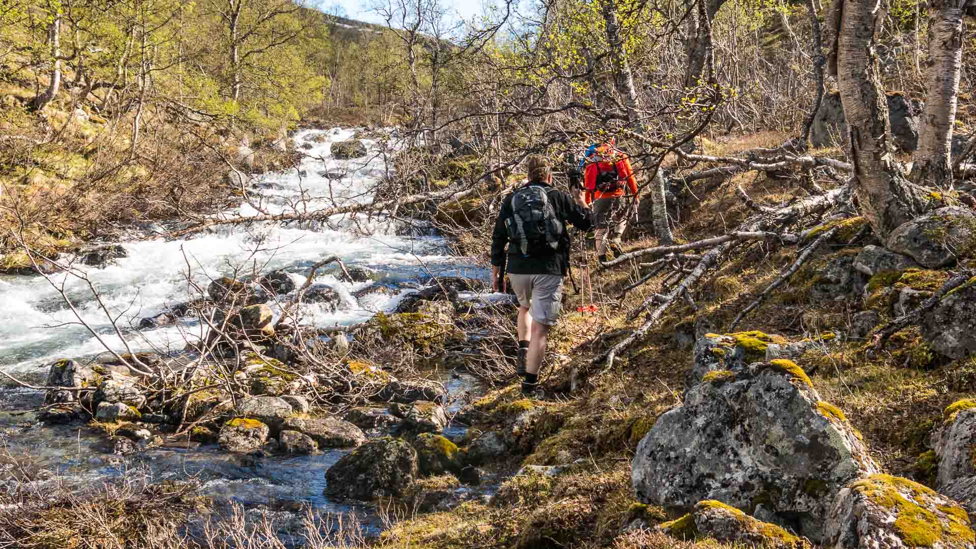 Drei Bergwanderer mit Rucksäcken folgen einem Gebirgsbach am Polarkreis in Nordnorwegen.