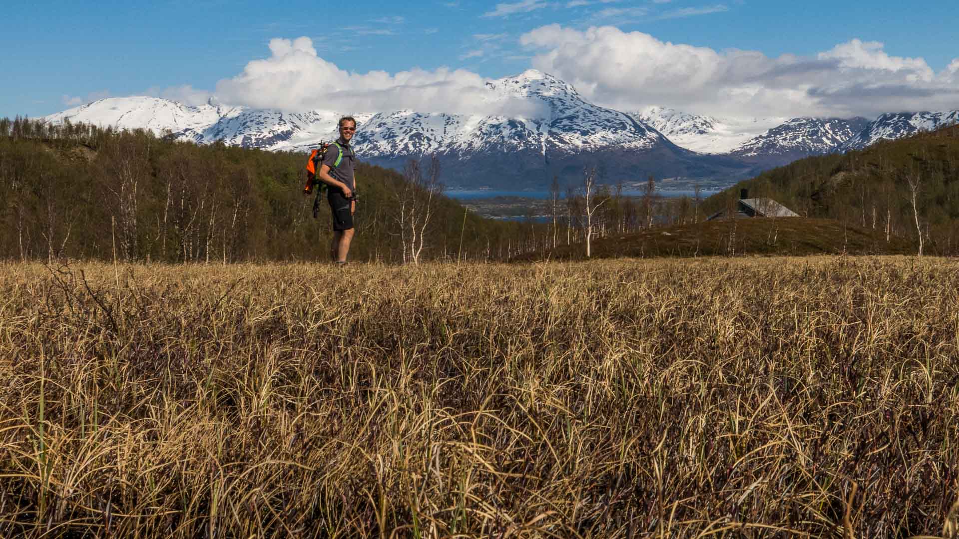 Bergwanderung in den Lyngenalpen: Bergwanderer steht vor Fjord und schneebedeckter Bergkette in Nordnorwegen.