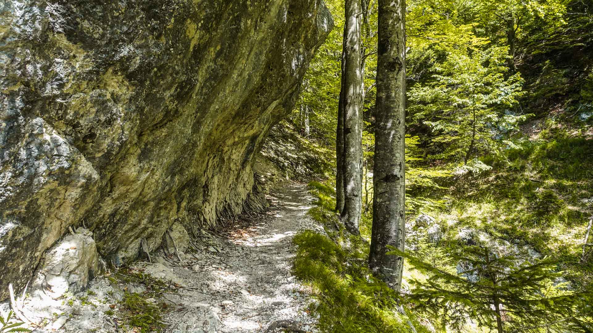 Galerie Foto Großansicht