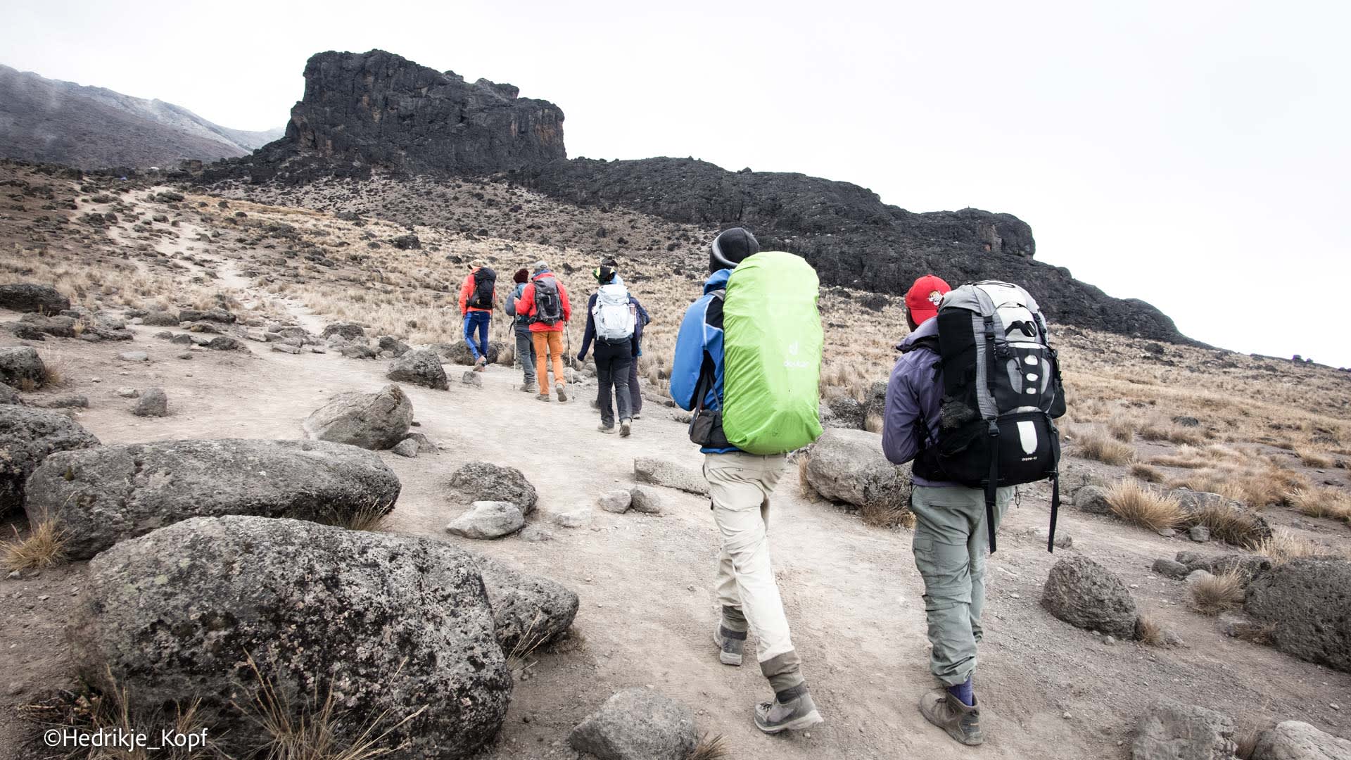 Sechs Höhenbergsteiger wandern auf sandigem Pfad aufwärts zum Lava Tower am Kilimanjaro in Tansania.