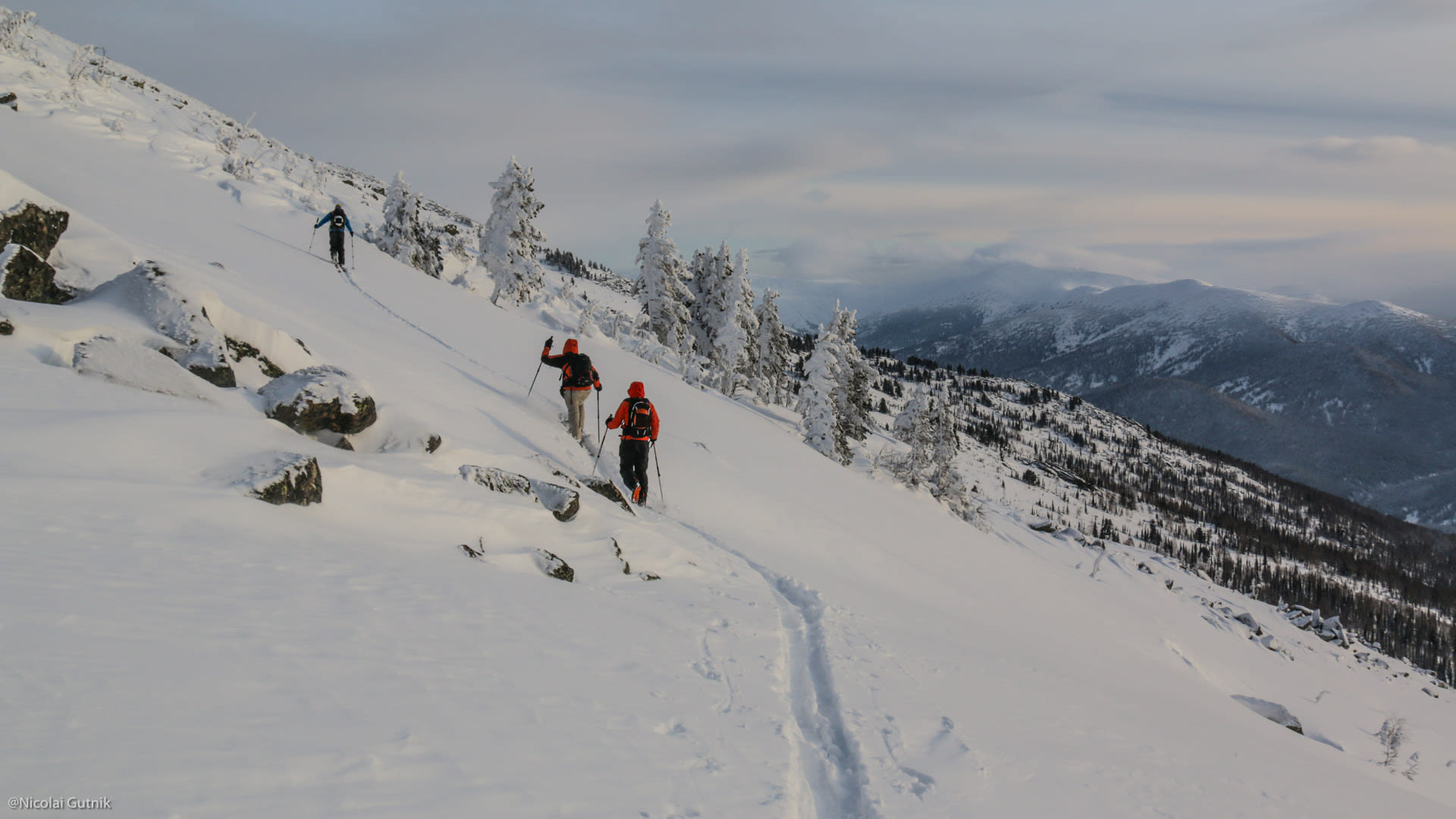Drei Skitourengeher steigen mit Fellen einen verschneiten Hang im Altai Gebirge auf.