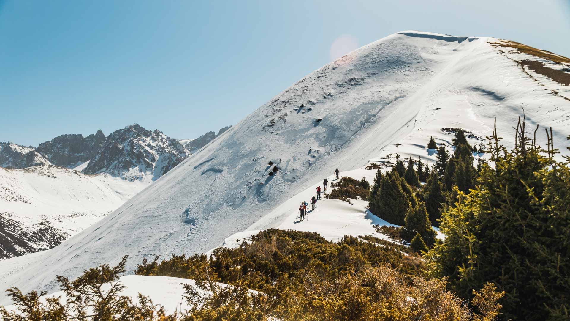 Skitour in Kirgistan: Gruppe von fünf Skitourengehern steigt sonnigen Schneehang neben Nadelbäumen auf.