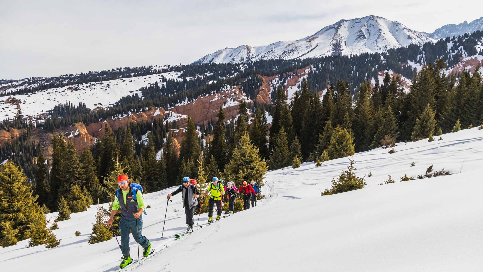 Skitour ab Karakol: sieben Skitourengeher mit Fellen steigen einen verschneiten Hang vor Nadelwald auf.