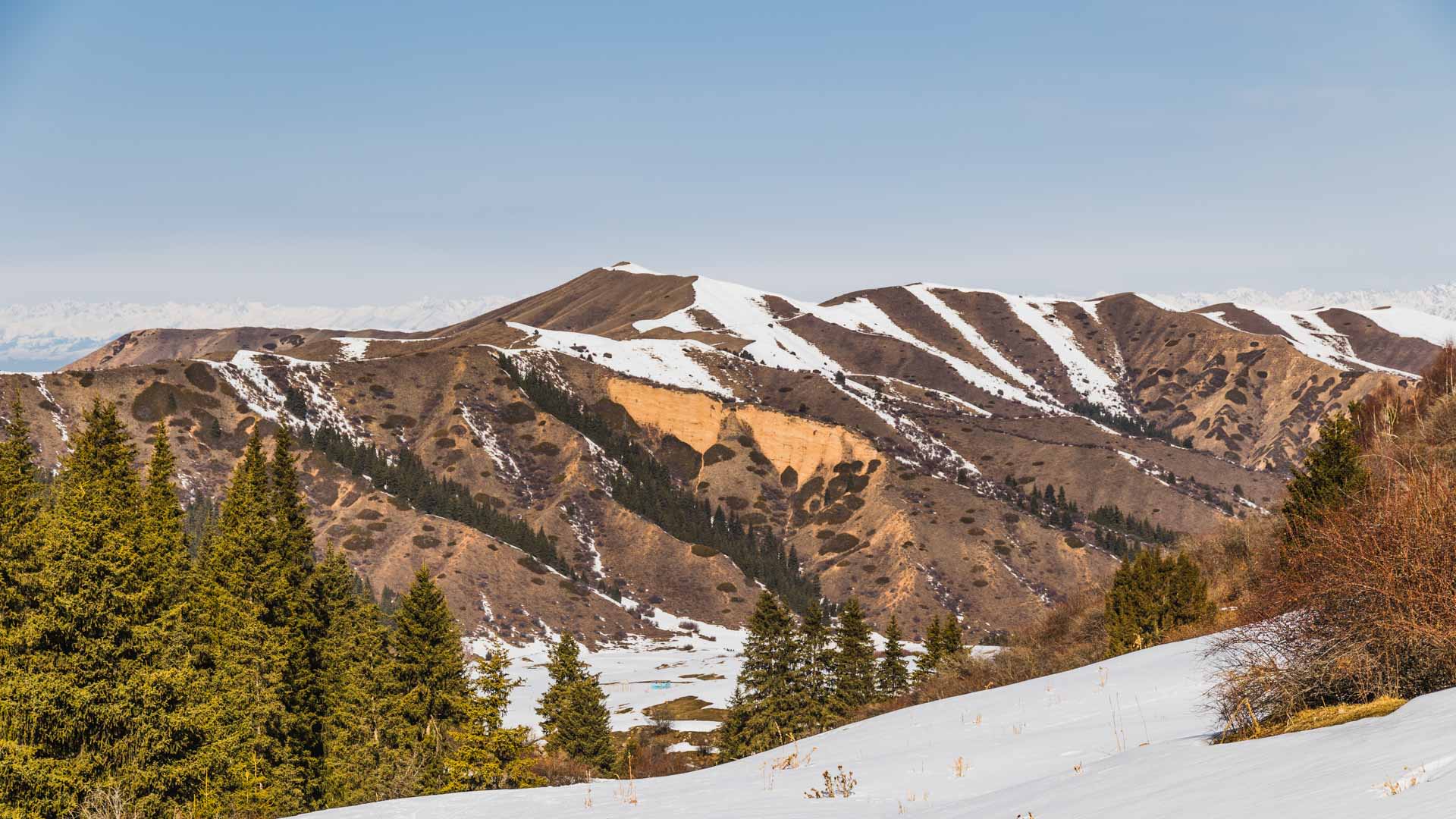 Skitour in Kirgistan: Berglandschaft mit schneebedeckten Kämmen, Nadelwäldern und freien Hängen.