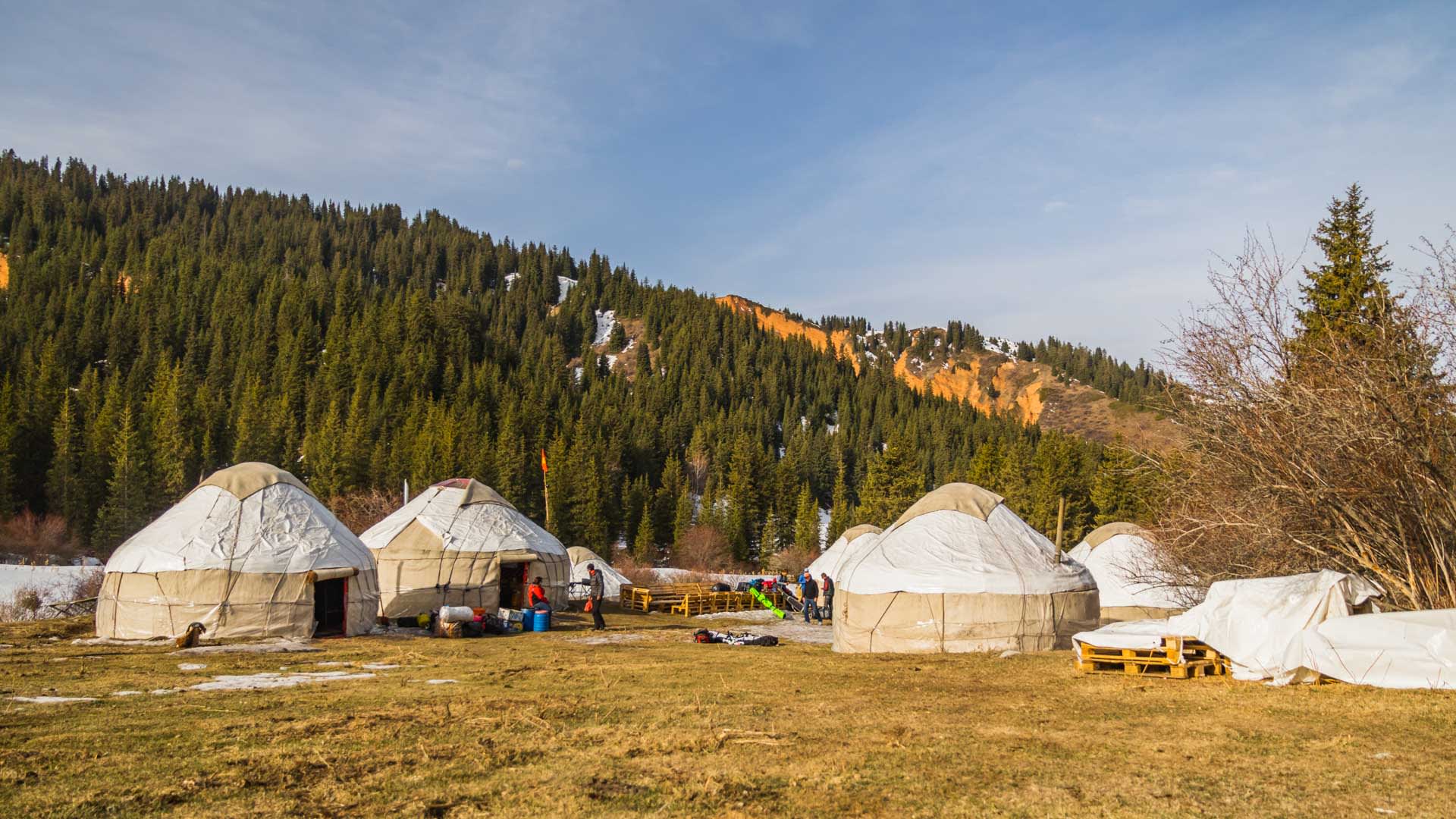 Skitour in Kirgistan: Jurtencamp mit vier traditionellen Jurten auf einer Talwiese vor bewaldeten Hängen.