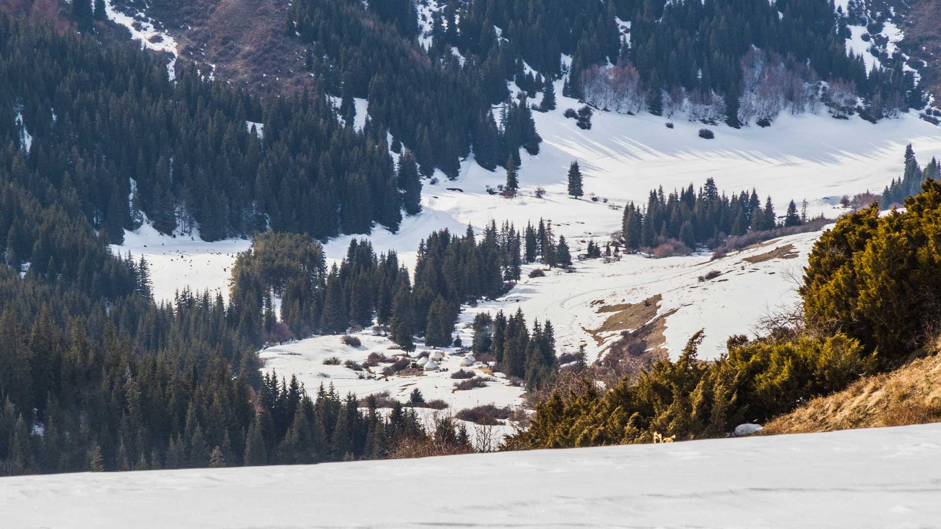 Skitour in Kirgistan: Yurtencamp im schneebedeckten Bergtal mit Nadelwald, steilen Hängen und seitlichem Sonnenlicht im Winter.