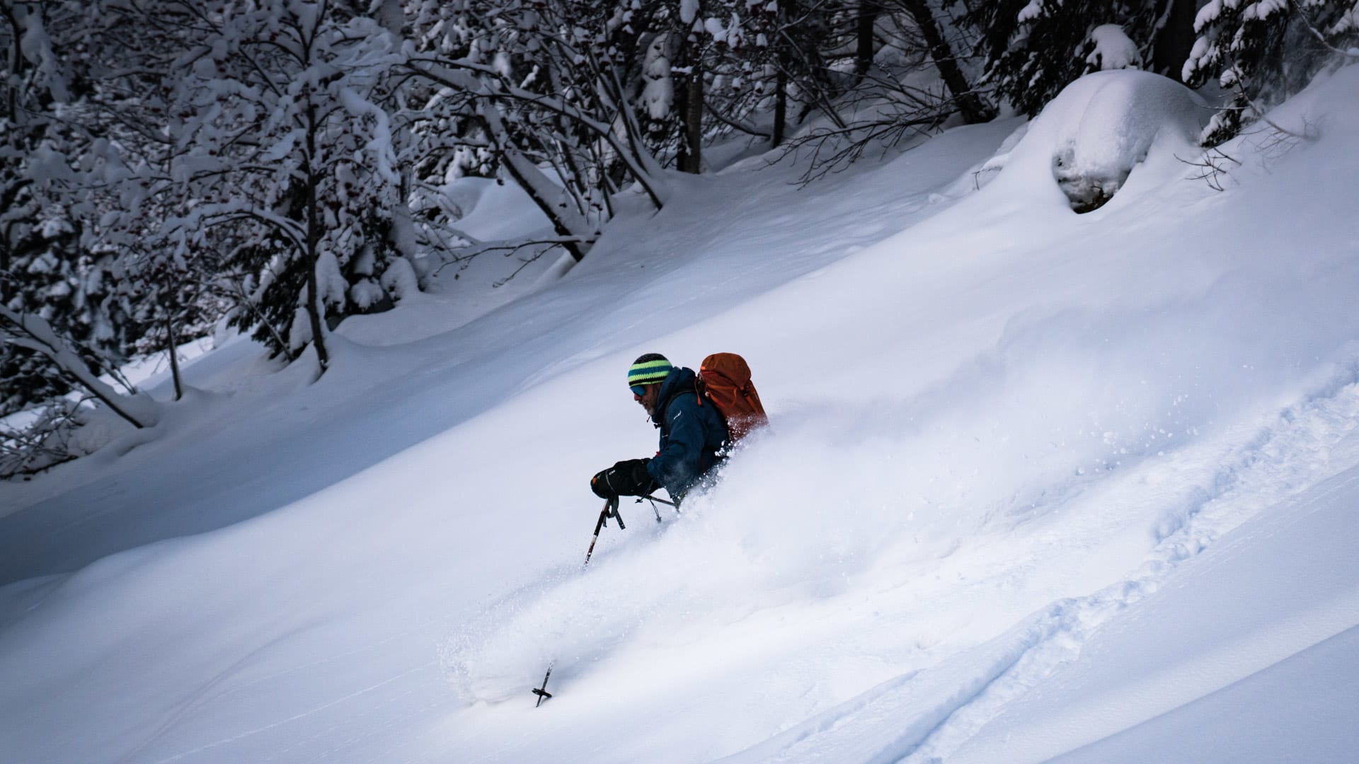 Skitourengeher fährt tief in Pulverschnee eingetaucht einen bewaldeten Hang bei Luzhba, Sibirien, ab.