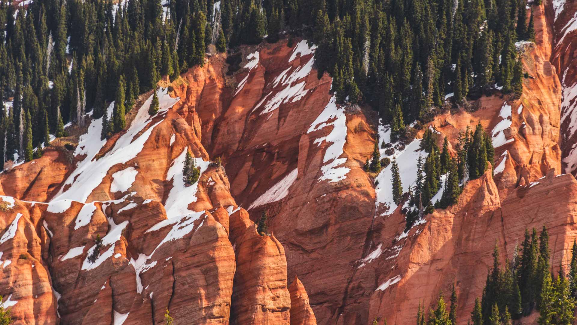 Skitour-Gelände in Kirgistan: rot-orangefarbene Sandsteinfelsen mit Schneeresten und Nadelwald an steiler Felswand.