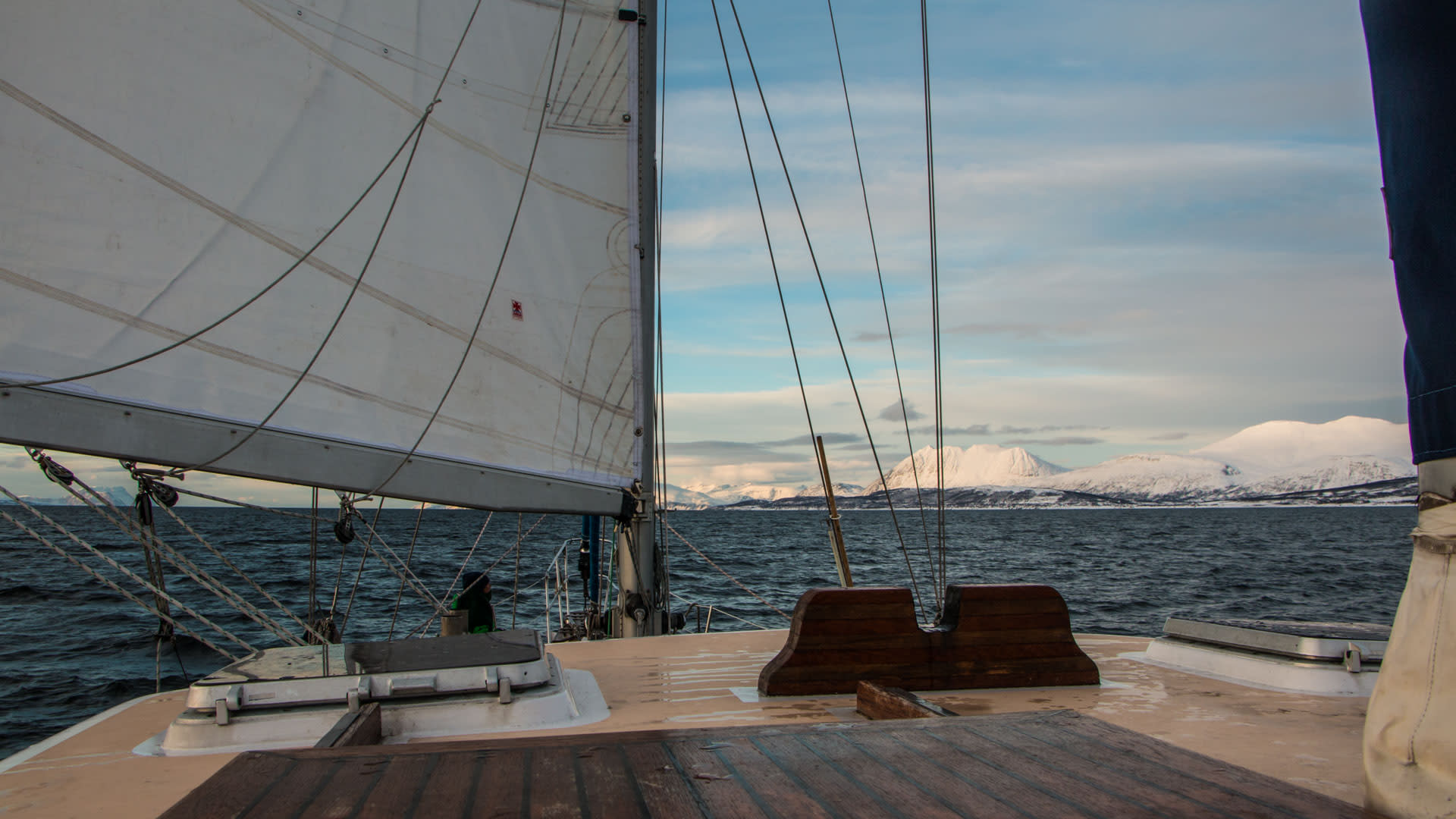 Skitour per Segelboot in Norwegen: Blick vom Achterdeck auf schneebedeckte Gipfel am Horizont.