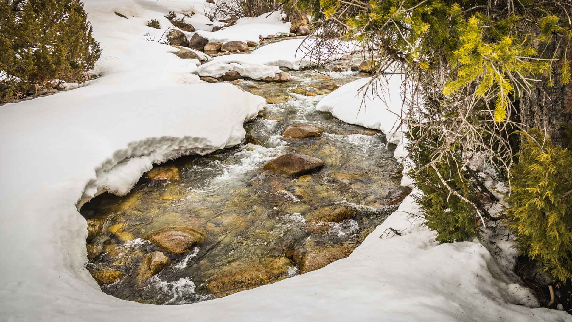 Skitour in Kirgistan: Klarer Gebirgsbach mit überhängenden Schneerändern und Nadelgehölzen entlang der Ufer im Winter.