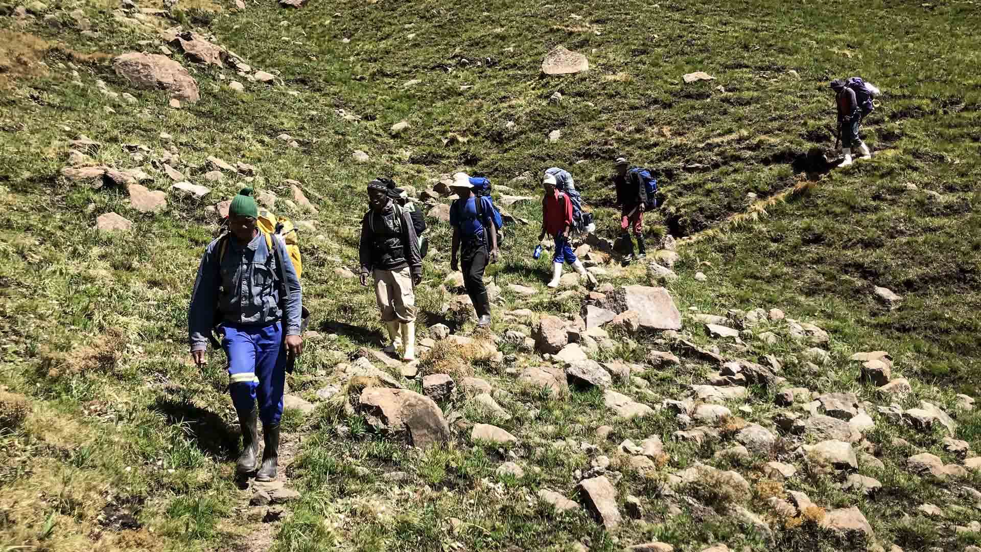 Trekking in den Drakensbergen: Gruppe mit Portern steigt einen felsigen, grasbewachsenen Hang in Südafrika aufwärts.