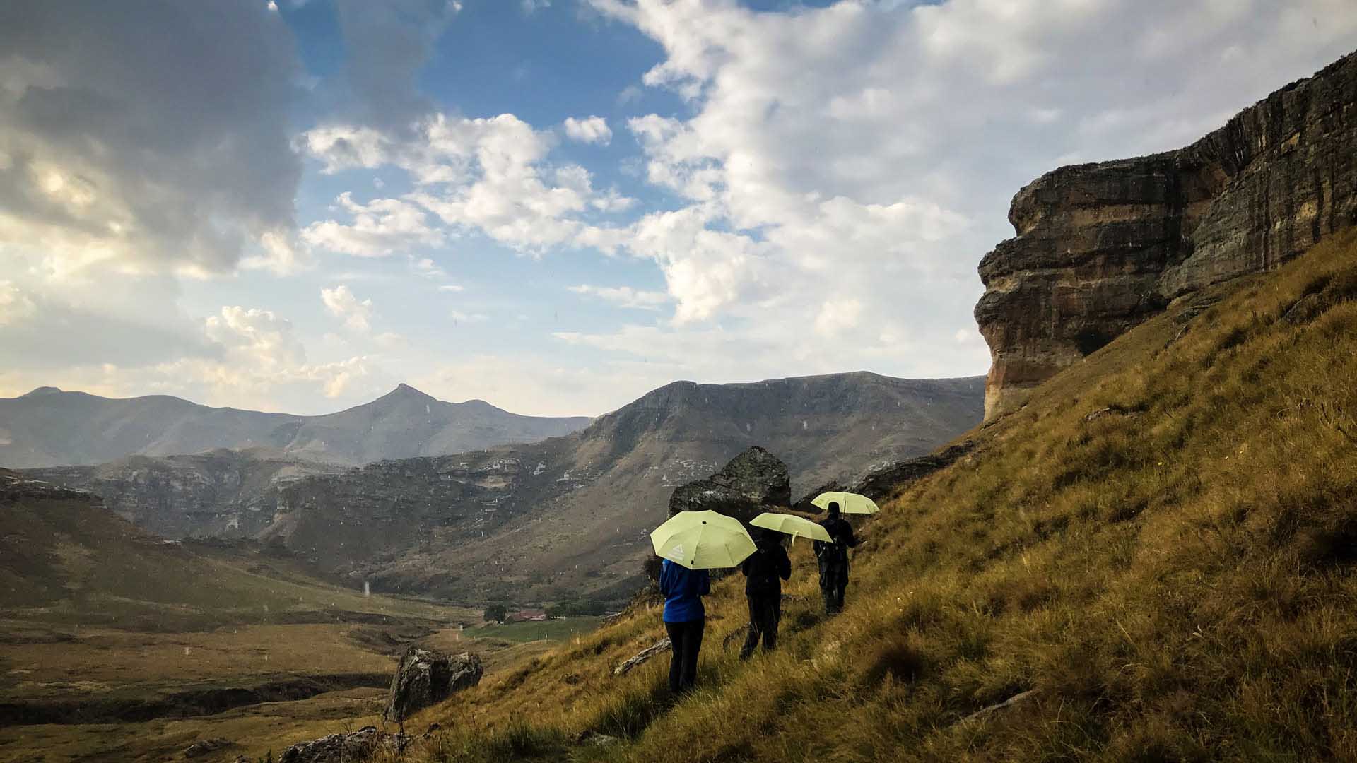 Trekking am Holkrans im Golden Gate Nationalpark: drei Trekker mit gelb-grünen Regenschirmen wandern im Regen