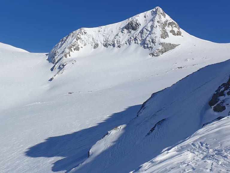 Schneebedecktes Hochplateau am Großvenediger mit zwei Gipfeln und Skispuren auf dem Gletscher der Hohen Tauern.