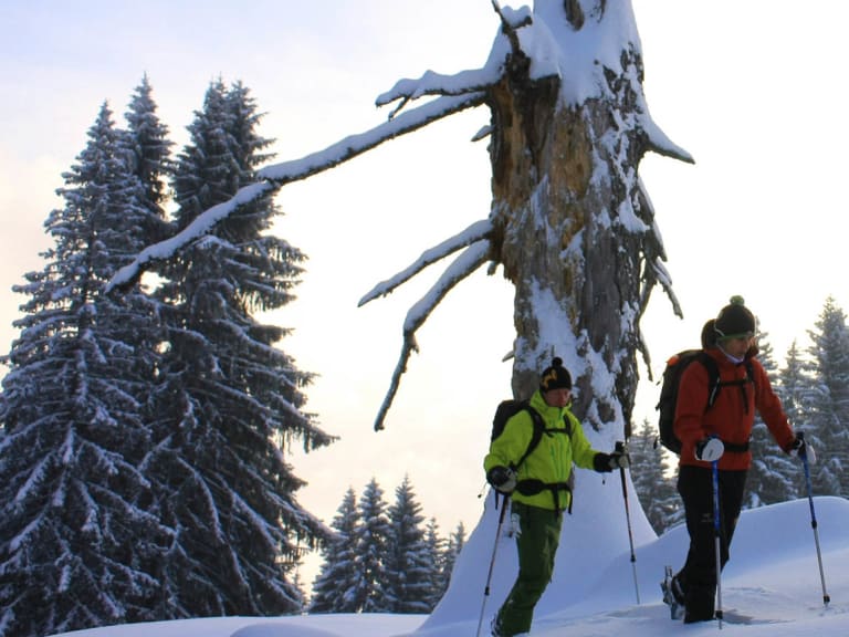 Zwei Winterwanderer mit Schneeschuhen und Rucksack im Tiefschnee am Spitzingsee in den Bayerischen Voralpen.