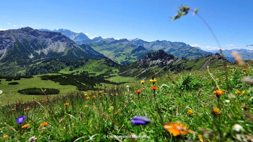 Bergwanderung am Schönberg in Liechtenstein: blühende Almwiese mit Wildblumen und Blick ins Hochtal.