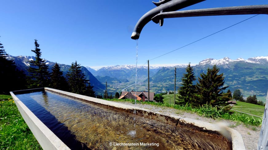 Bergwanderung bei Triesenberg in Liechtenstein: Wassertrog mit fließendem Quellwasser auf grüner Wiese vor Talblick.