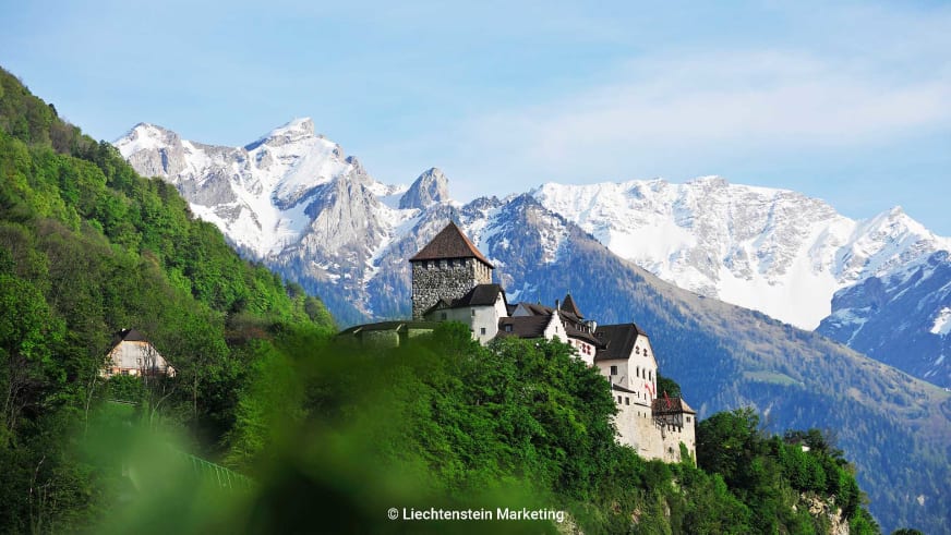 Bergwanderung in Liechtenstein mit Blick auf Schloss Vaduz auf bewaldetem Felsvorsprung vor schneebedeckter Bergkette.