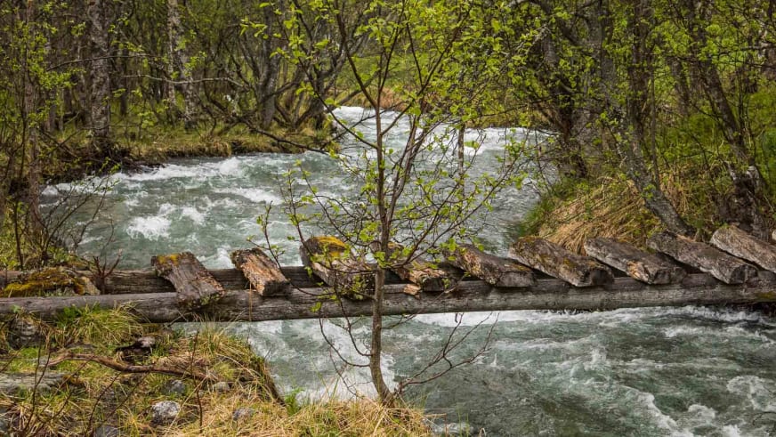 Bergwanderung in Norwegen: moosbedeckte Holzbrücke über einen Wildwasserfluss im Birkenwald.