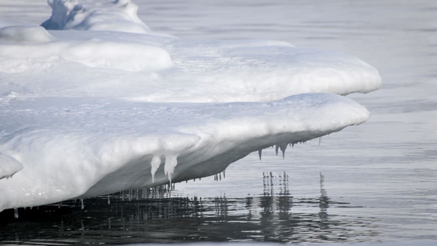 Skitour Spitzbergen: Flache Eisplatte mit Eiszapfen auf dunklem Arktikwasser bei der Anlandung.