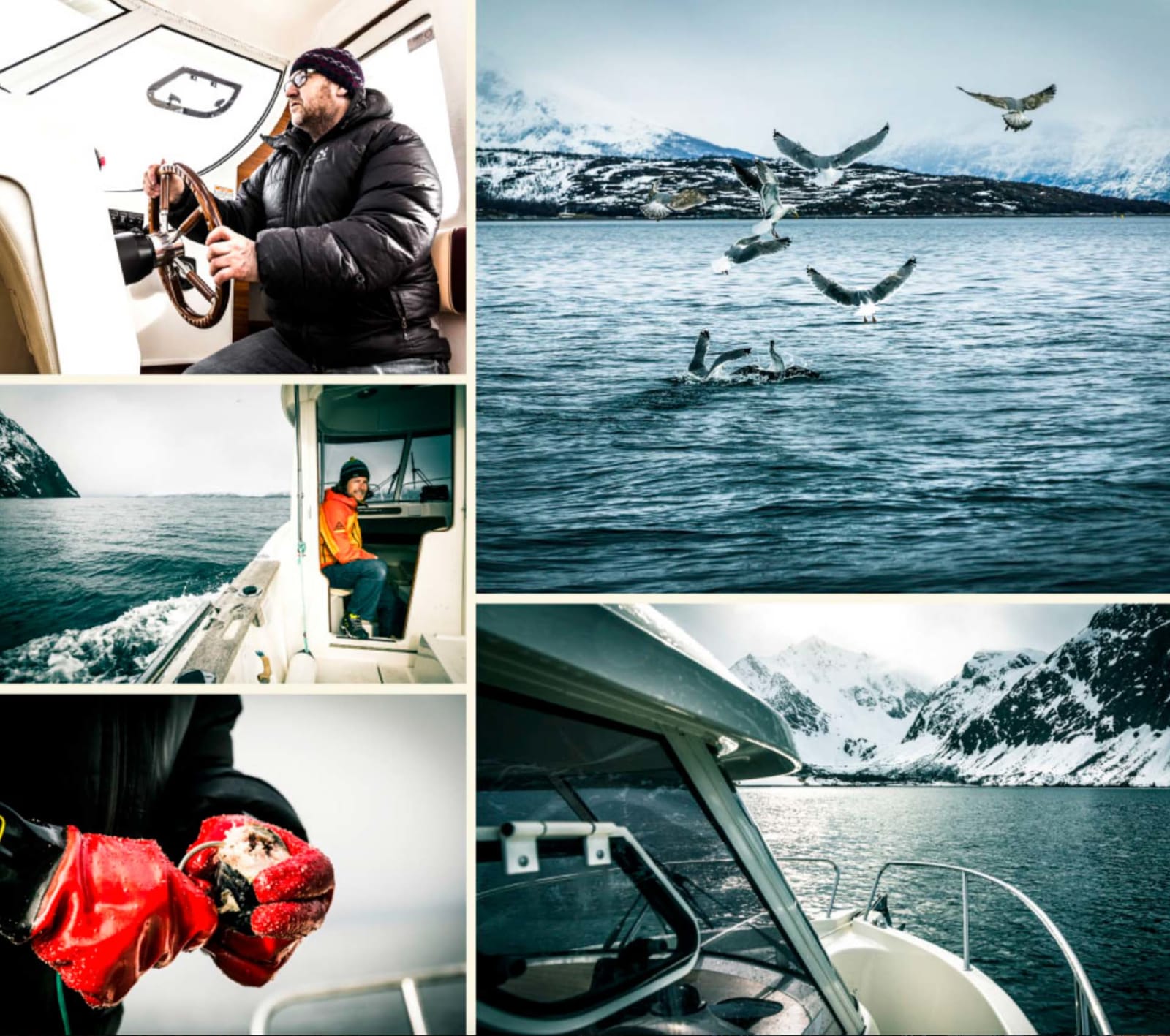 Bildcollage zur Bootsfahrt und Angeln im winterlichen Fjord in Norwegen mit schneebedeckten Bergen.